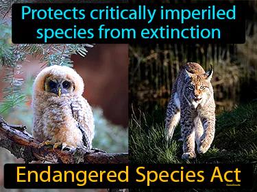 Endangered Species Act Simple Definition