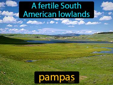 pampas Simple Definition