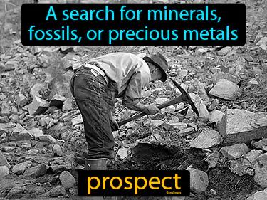 prospect Simple Definition