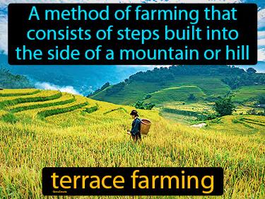 terrace farming Simple Definition