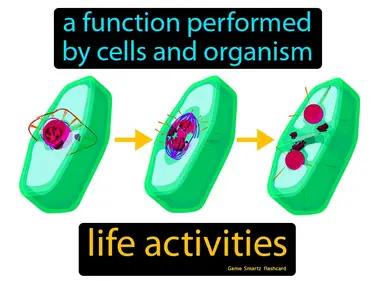life activities Simple Definition