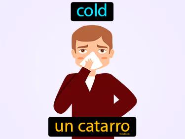 un catarro Simple Definition