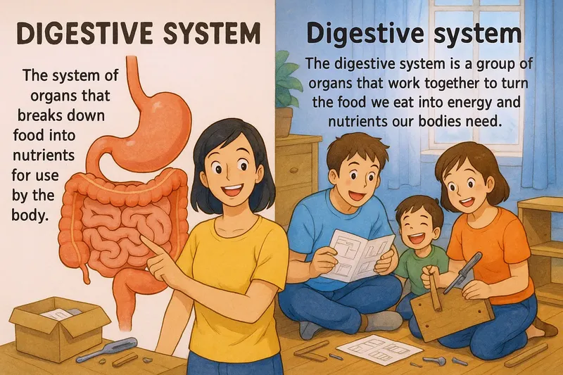What is the Digestive System? - Easy to Understand