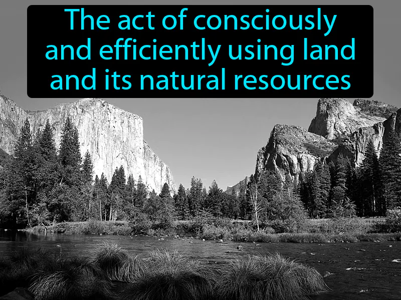 Conservation Definition