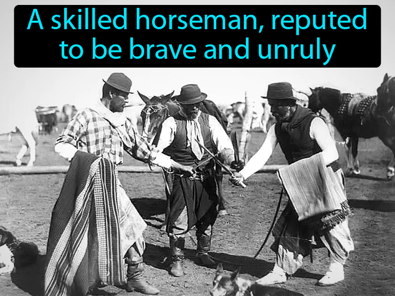 Gaucho Definition