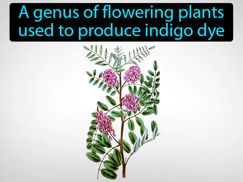 Indigo Definition Indigo Definition