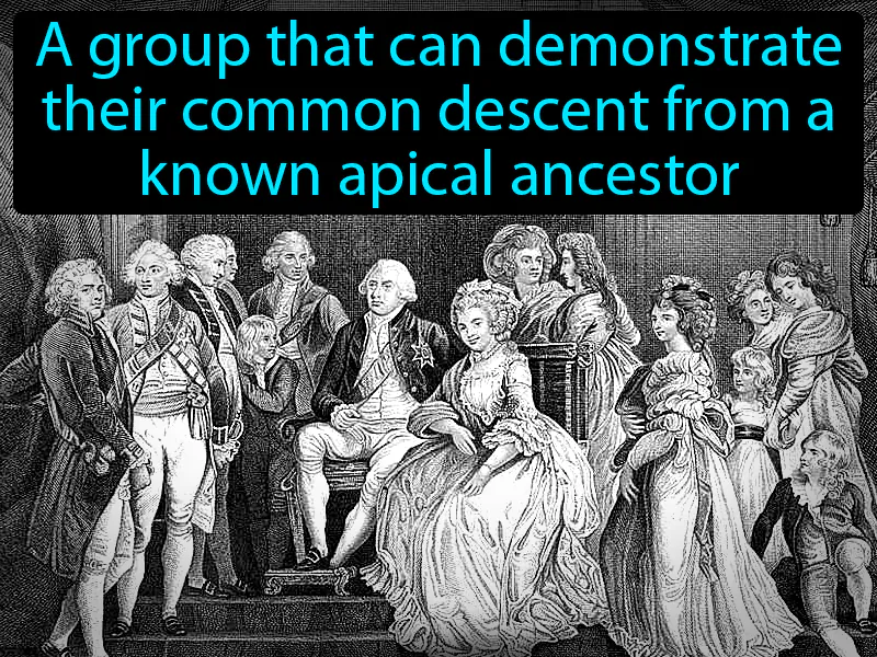 Lineage Definition