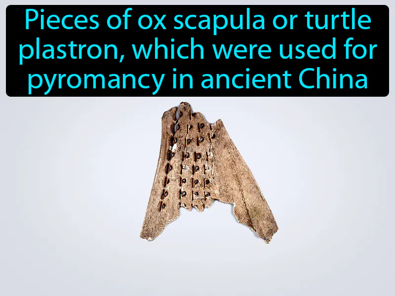 Oracle Bone Definition