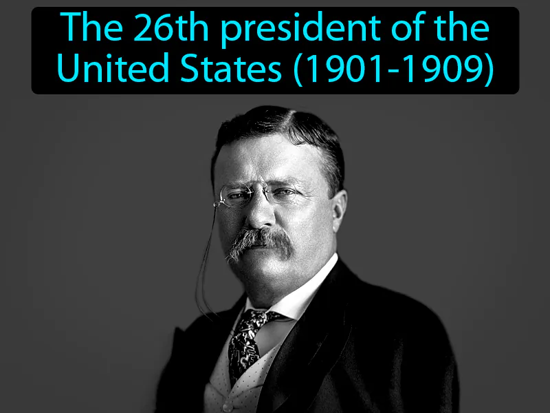 Theodore Roosevelt Definition Theodore Roosevelt Definition