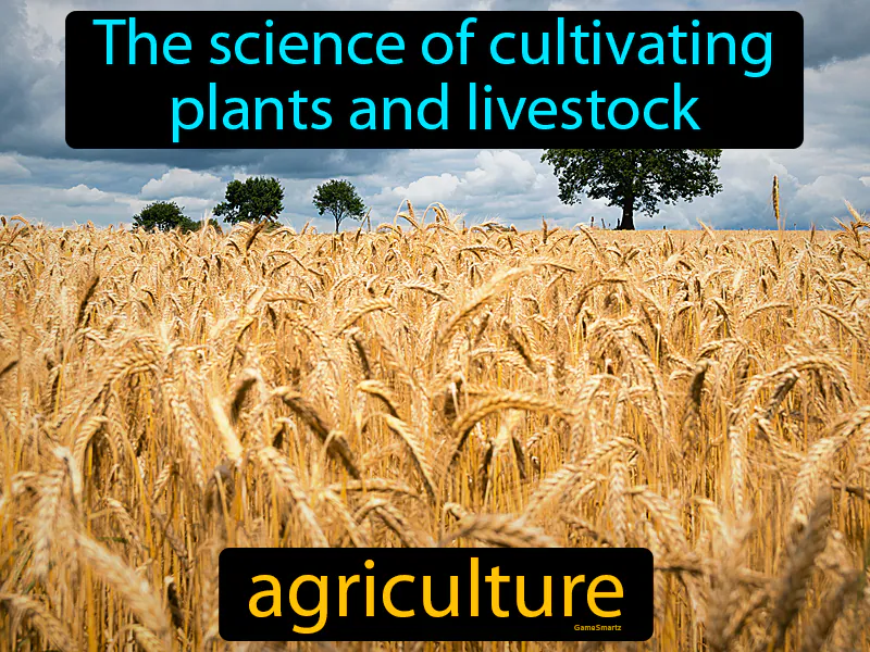 Agriculture Definition