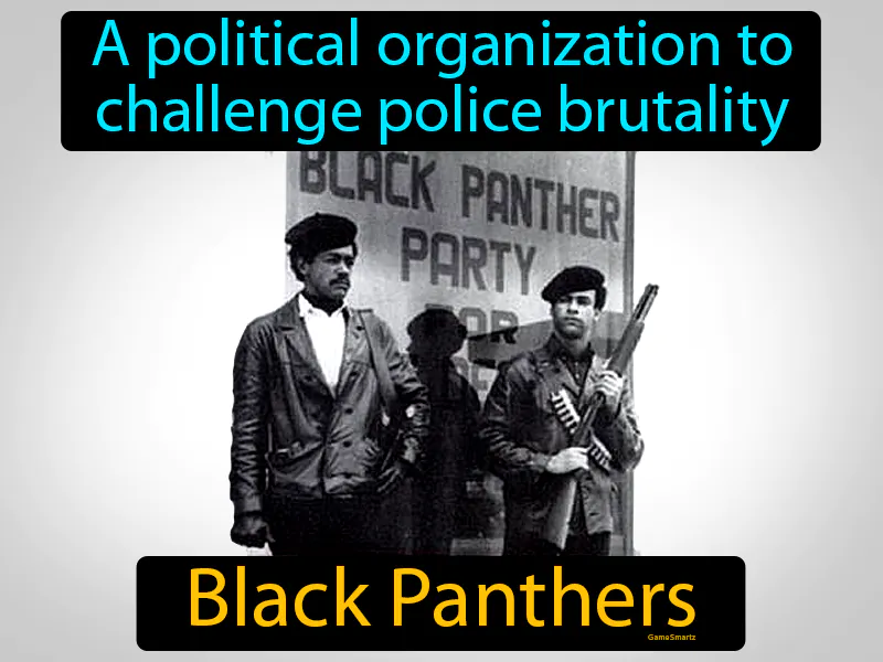 Black Panthers Definition