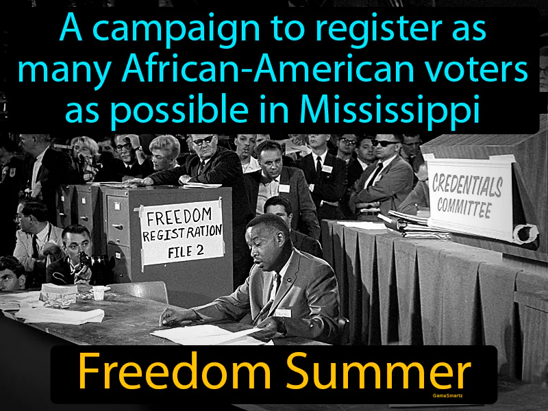 Freedom Summer Definition