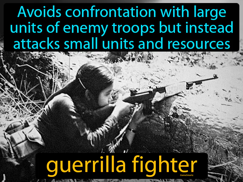Guerrilla Fighter Definition