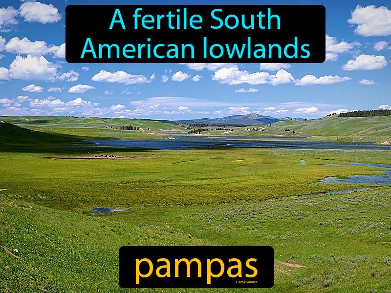 Pampas Definition