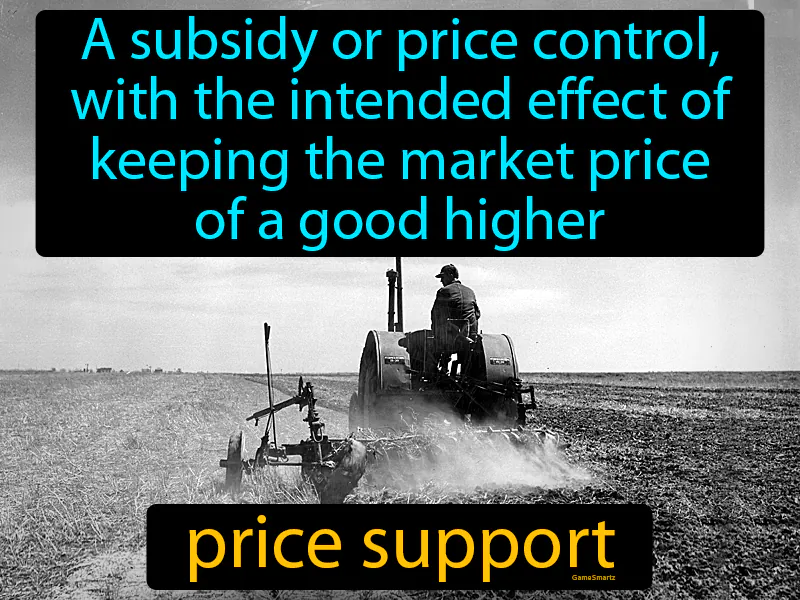Price Support Definition