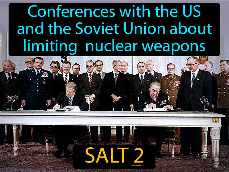 SALT 2 Definition