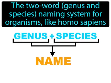 binomial nomenclature
