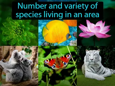 biodiversity