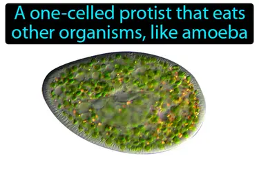 protozoan
