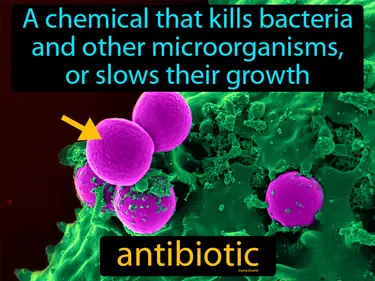A chemical that kills bacteria and other microorganisms, or slows their growth