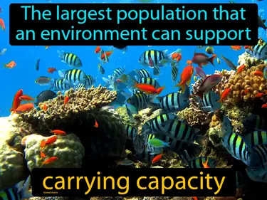 The largest population that an environment can support
