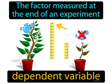 The factor measured at the end of an experiment