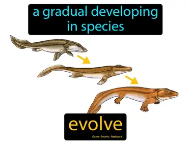 A gradual developing in species