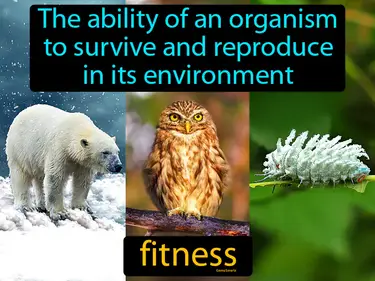 The ability of an organism to survive and reproduce in its environment