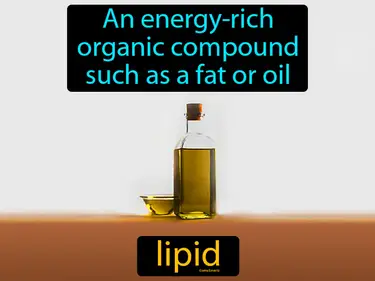 An energy-rich organic compound such as a fat or oil