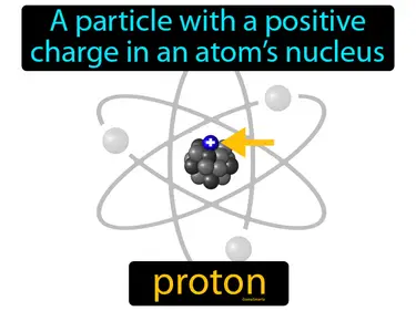 A particle with a positive charge in an atom’s nucleus