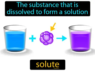 The substance that is dissolved to form a solution