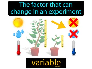 The factor that can change in an experiment