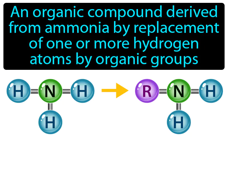 Amine Definition
