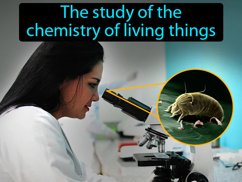 Biochemistry Definition