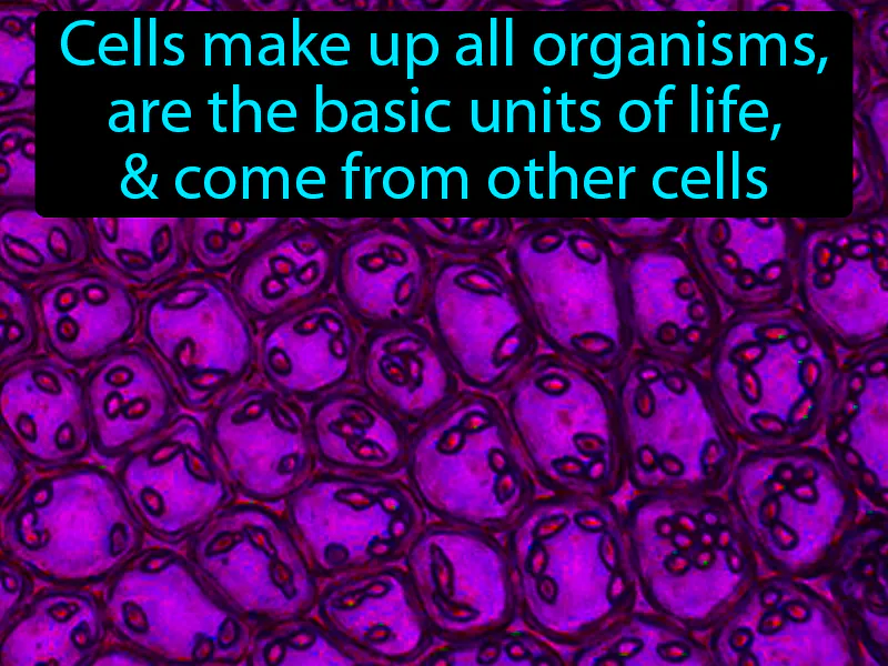 Cell Theory Definition