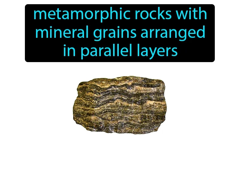Foliated Definition