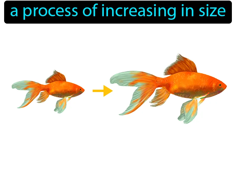 Growth Definition Growth Definition