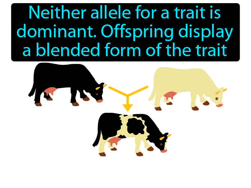 Incomplete Dominance Definition