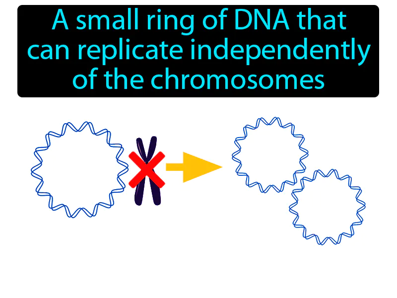 Plasmid Definition