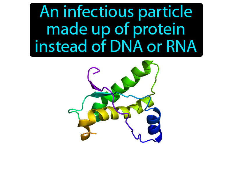 Prion Definition