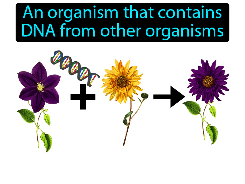 Transgenic Definition