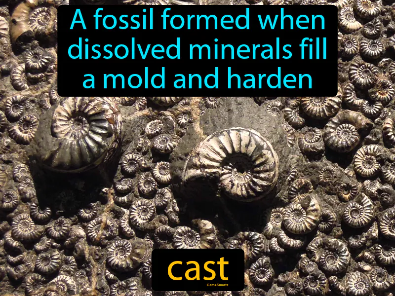 Cast Definition