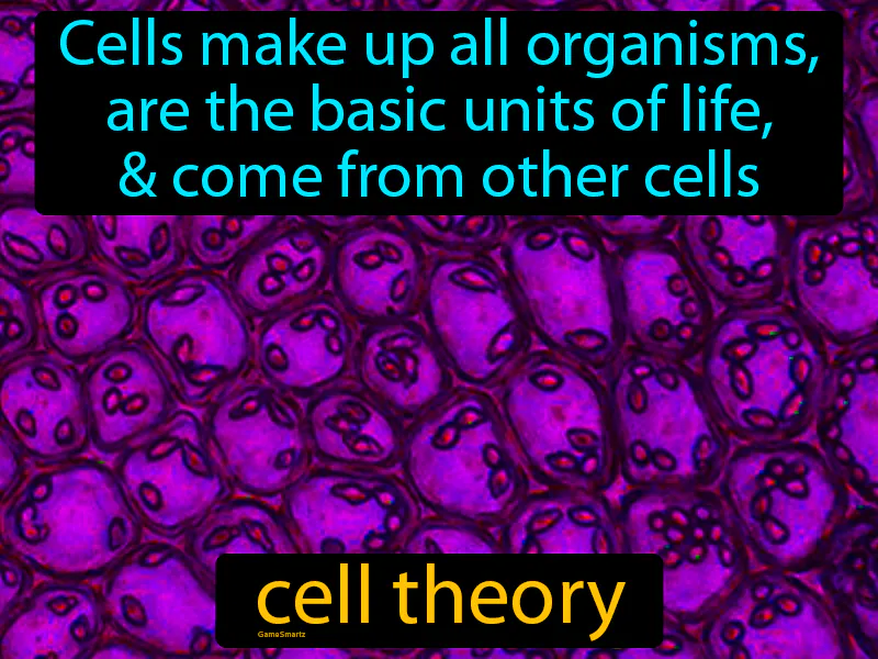 Cell Theory Definition