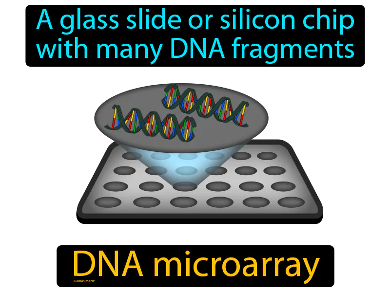 DNA Microarray Definition