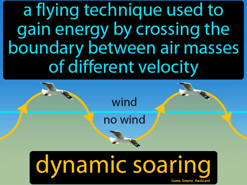 Dynamic Soaring Definition