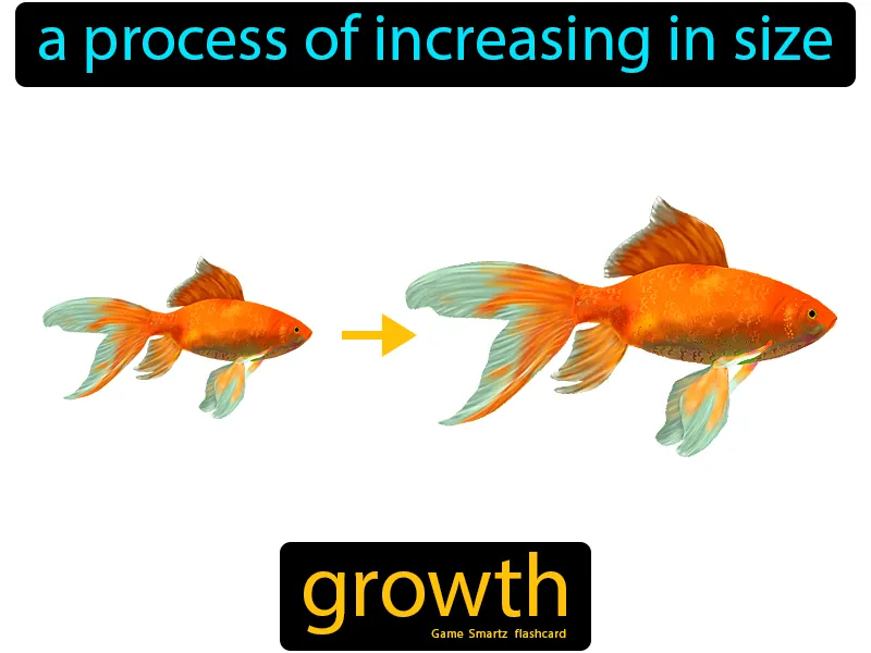 Growth Definition Growth Definition