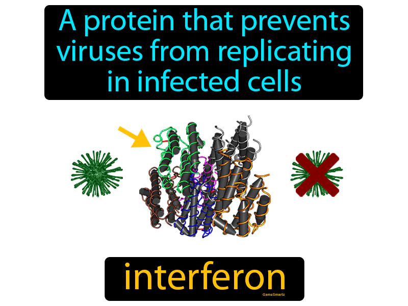 Interferon Definition
