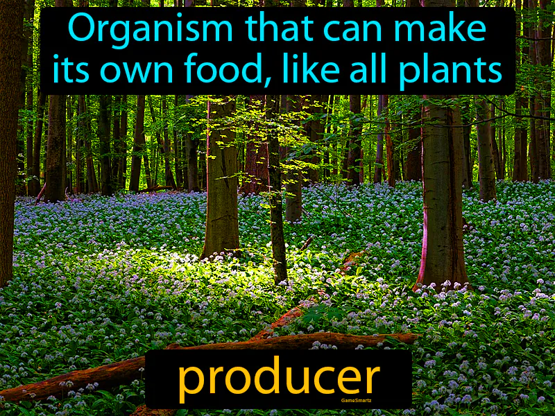 Producer Definition