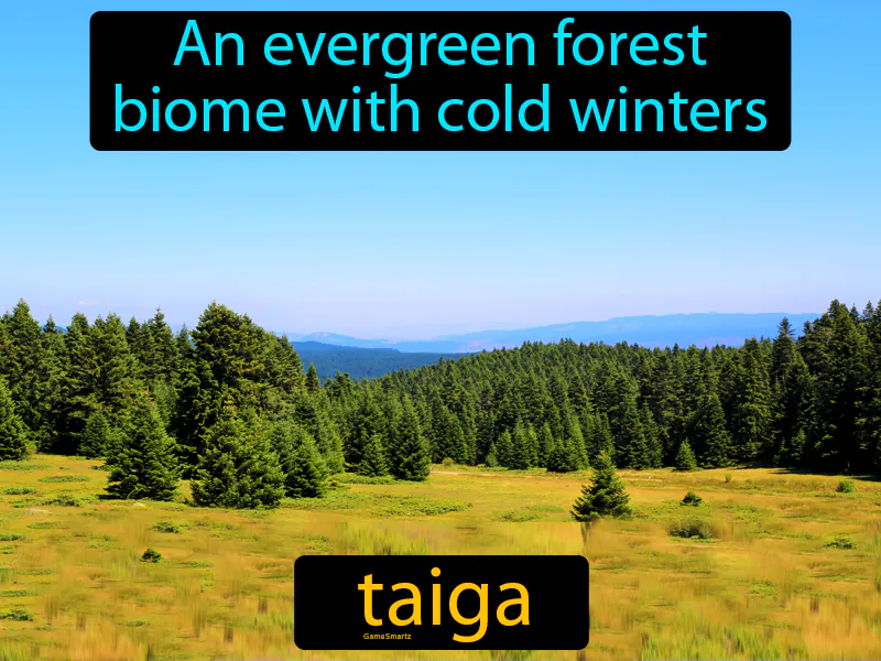 Taiga Definition Taiga Definition