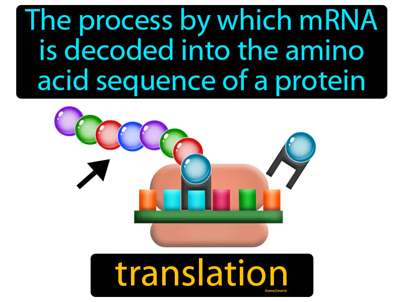 Translation Definition